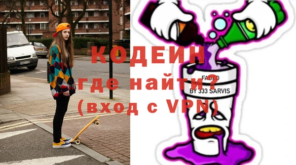 бошки Инта